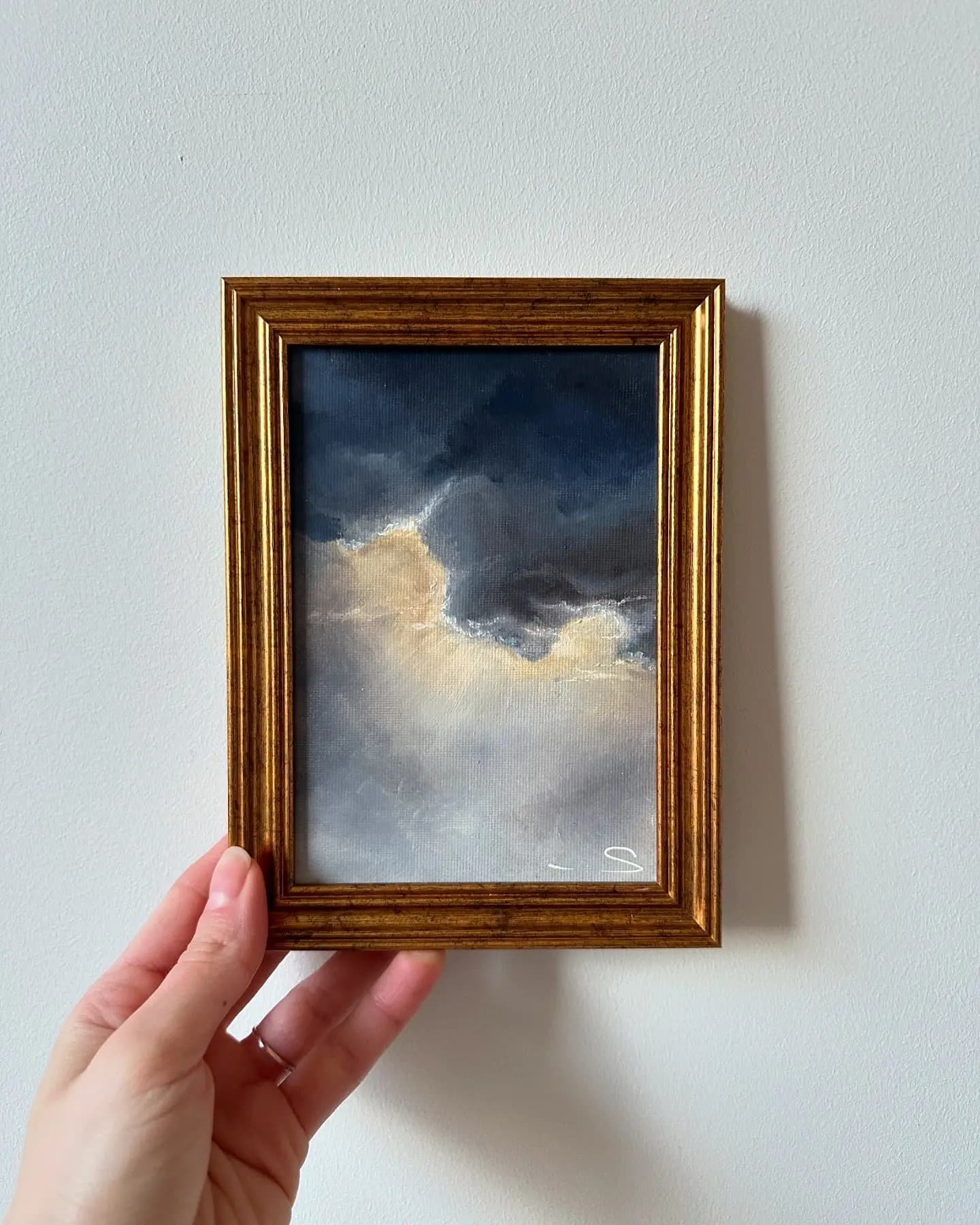 Storm vue 2